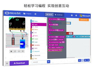 micro bit初學(xué)者都在學(xué)習(xí)的入門(mén)級(jí)應(yīng)用案例